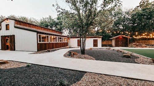 Main Feature