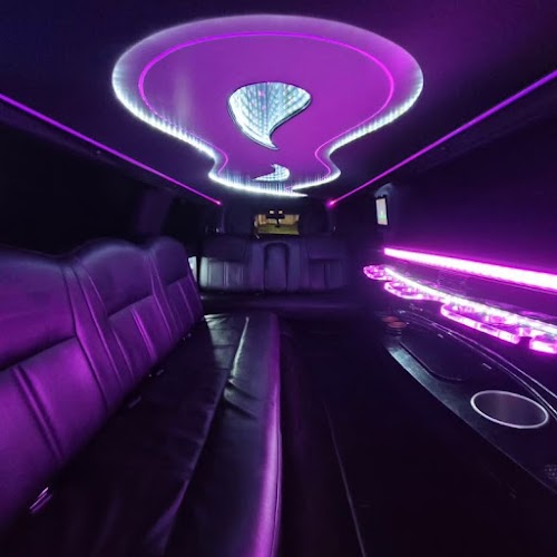Main Feature