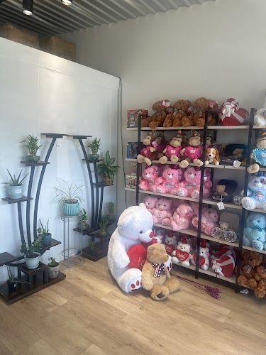 Gallery Image 2