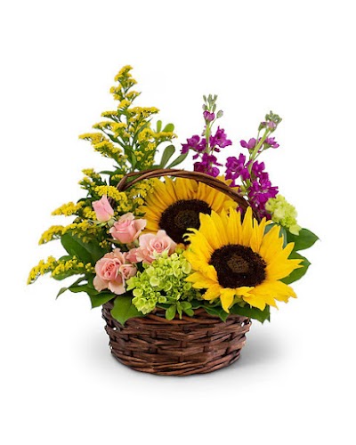 Gallery Image 1