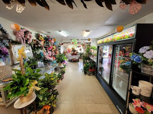 Main Feature