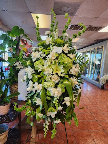 Main Feature