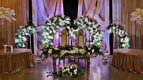 Main Feature