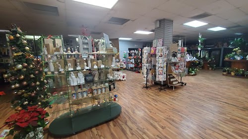 Main Feature