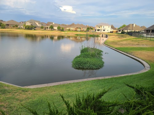 Main Feature