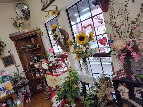 Gallery Image 4