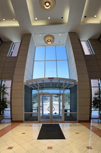 Main Feature