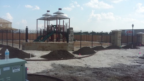 Main Feature