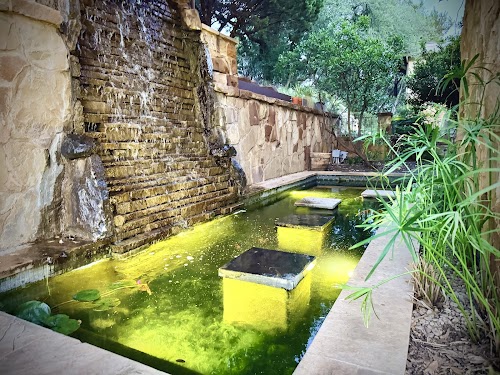 Main Feature
